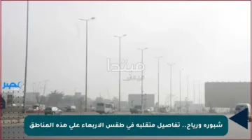 شبورة ورياح.. تفاصيل متقلبة في طقس الأربعاء على هذه المناطق